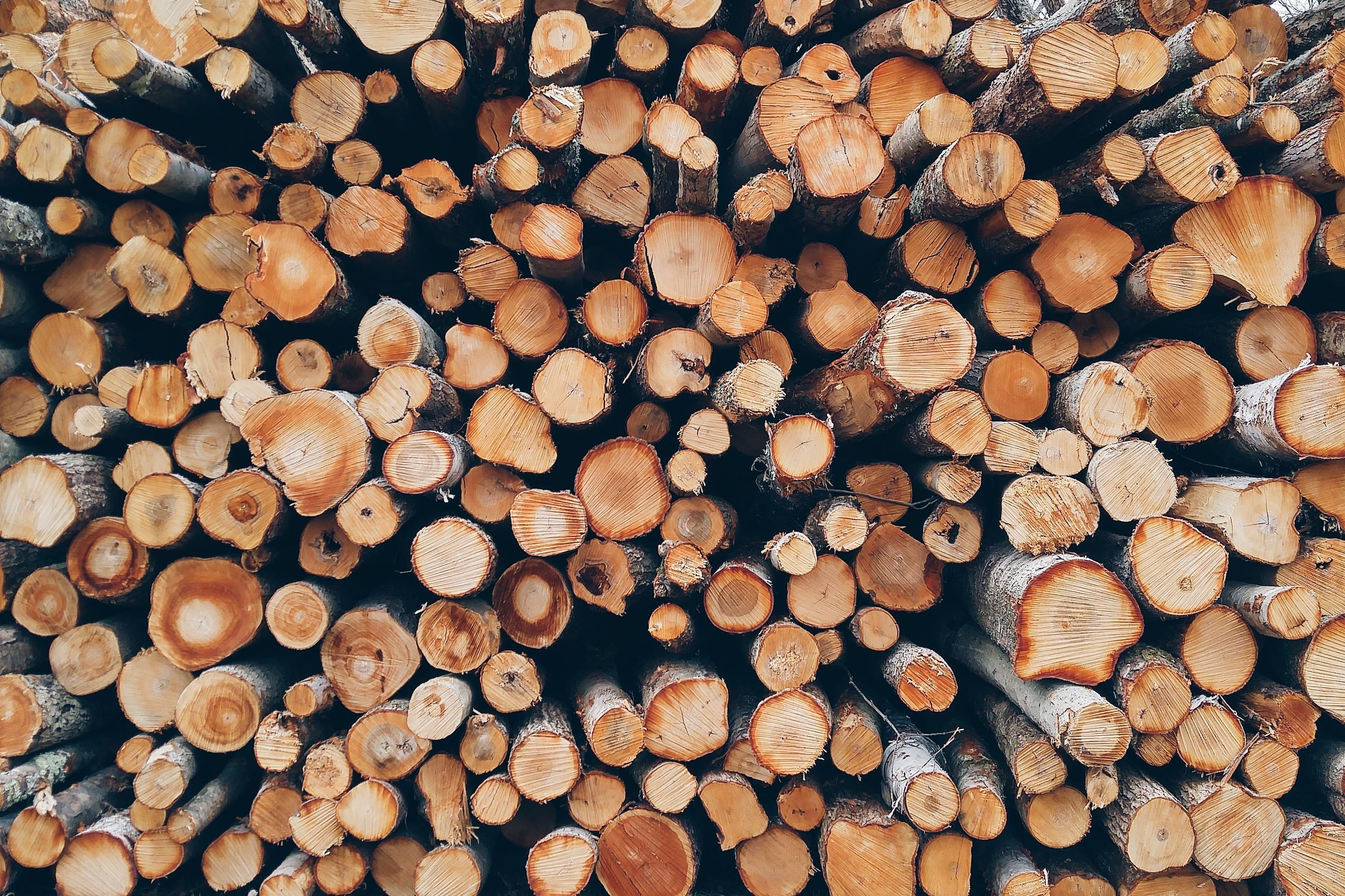 Forêt et nature — chauffage au bois